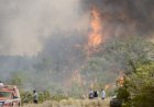 https://cyprustodayonline.com/hit-by-seventy-fires