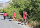 https://cyprustodayonline.com/trees-pruned-after-road-safety-complaints