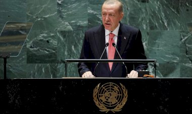 https://cyprustodayonline.com/erdogan-renews-recognition-call-for-trnc-at-un