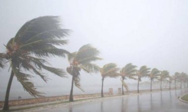 https://cyprustodayonline.com/strong-winds-forecast-for-weekend-as-showers-expected-on-saturday