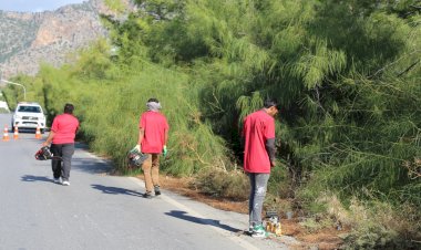 https://cyprustodayonline.com/trees-pruned-after-road-safety-complaints