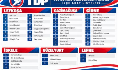 https://cyprustodayonline.com/tdp-names-50-candidates-for-december-election